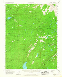 Pinecrest 1956 topographic map preview