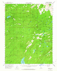 Pinecrest 1956 topographic map preview