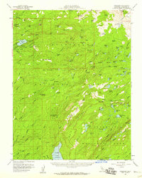 Pinecrest 1956 topographic map preview