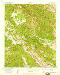 Priest Valley 1956 topographic map thumbnail