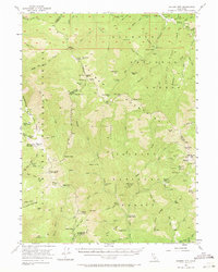 Salmon Mtn 1955 topographic map thumbnail