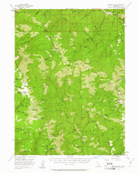 Salmon Mtn 1955 topographic map thumbnail