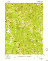 Salmon Mtn 1955 topographic map thumbnail