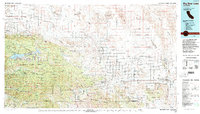 Big Bear Lake 1982 topographic map thumbnail