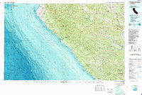 Point Arena 1981 topographic map thumbnail