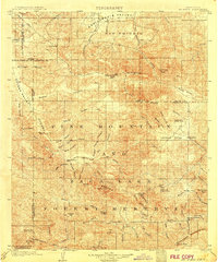 Mt. Pinos topographic map thumbnail