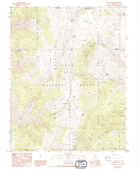 Blanco Mountain 1987 topographic map thumbnail