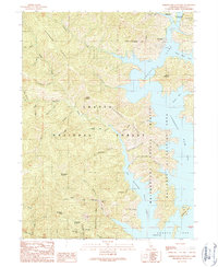 Bohemotash Mountain 1990 topographic map thumbnail