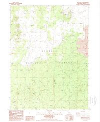 Bonita Butte 1988 topographic map thumbnail