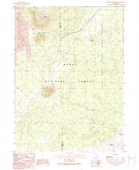 Border Mountain 1990 topographic map thumbnail