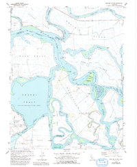 Bouldin Island 1978 topographic map thumbnail