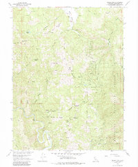 Brushy Mtn 1966 topographic map thumbnail