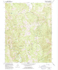 Brushy Mtn 1966 topographic map thumbnail