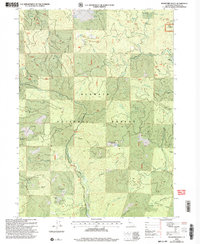 Buckhorn Bally 2001 topographic map thumbnail