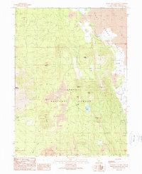 Burney Mountain East 1990 topographic map thumbnail
