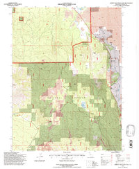 Burney Mountain East 1995 topographic map thumbnail