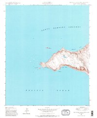 San Miguel Island West 1943 topographic map preview