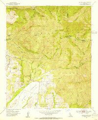 Santiago Peak 1954 topographic map thumbnail