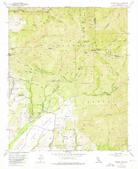 Santiago Peak 1954 topographic map thumbnail