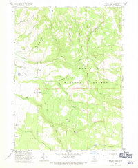 Shields Creek 1963 topographic map thumbnail