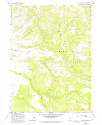 Shields Creek 1963 topographic map thumbnail