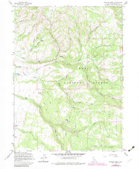 Shields Creek 1963 topographic map thumbnail