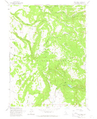 Soup Creek 1963 topographic map thumbnail