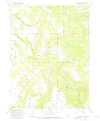 Soup Creek 1963 topographic map thumbnail