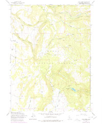 Soup Creek 1963 topographic map thumbnail