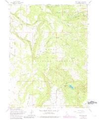 Soup Creek 1963 topographic map thumbnail