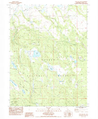 Straylor Lake 1983 topographic map thumbnail