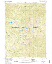 Ukonom Lake 1980 topographic map thumbnail