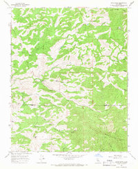White River 1965 topographic map preview