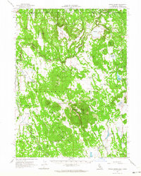 Steele Swamp 1962 topographic map thumbnail