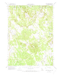 Steele Swamp 1962 topographic map thumbnail