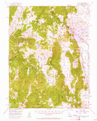 Topaz Lake topographic map thumbnail