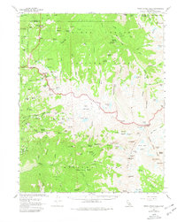 Triple Divide Peak 1956 topographic map thumbnail