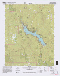 Bass Lake 1993 topographic map thumbnail