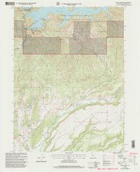 Bella Vista 1998 topographic map thumbnail
