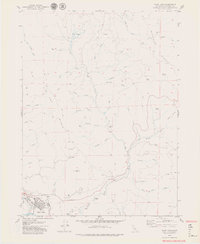 Blue Lake 1979 topographic map thumbnail