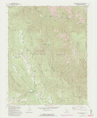 Buckingham Mtn 1992 topographic map thumbnail