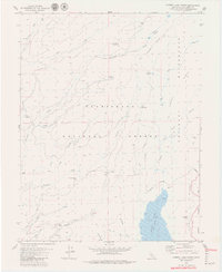Cherry Lake North 1979 topographic map thumbnail