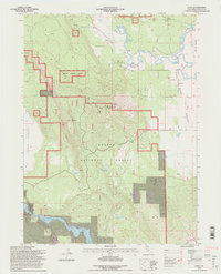 Dana 1995 topographic map thumbnail