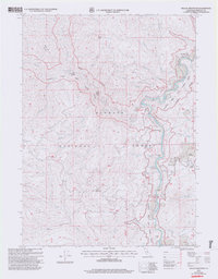 Dillon Mtn 2001 topographic map thumbnail