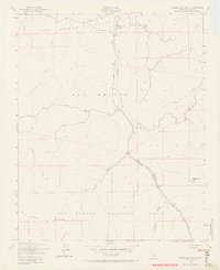 Eagle Rest Peak 1942 topographic map thumbnail