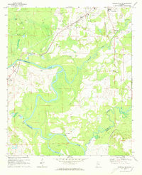 Aliceville South 1970 topographic map thumbnail