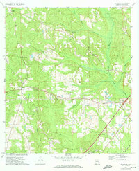 Belleville 1971 topographic map thumbnail