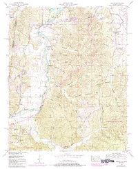 Bishop 1950 topographic map preview