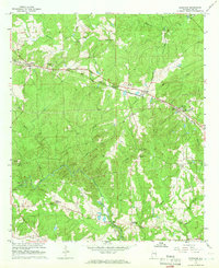 Bleecker 1965 topographic map thumbnail