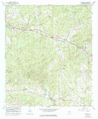 Bleecker 1965 topographic map preview
